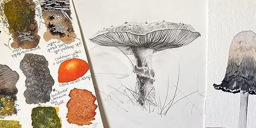 Watercolour drawing and Painting Class - 'Fantastic Fungi Techniques and Textures'