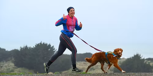 2026 4 Paws Marathon