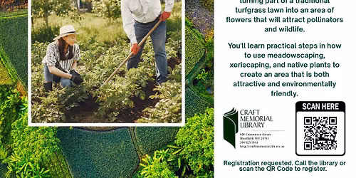 Environmentally Friendly Lawns