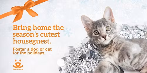 SLC - Holiday Foster Party! 