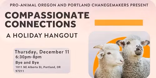 Compassionate Connections: A Holiday Hangout