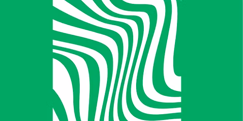 Platenbeurs Groningen donderdag 23 april Vismarkt