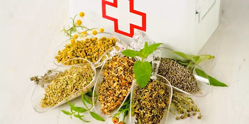 Formation - Pharmacie Naturelle \u2013 Premiers Rem\u00e8des Maison - Niveau 1