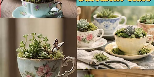 Vintage Teacup Succulent Class