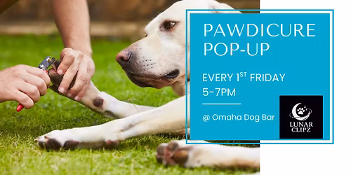 Pawdicure Pop-Ups at Omaha Dog Bar