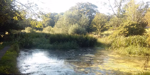 Sun 21 Dec Flood Meadows Conservation Working Party - all welcome