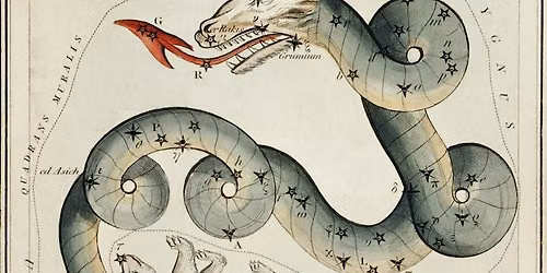 Darlings and Dragons Bimonthly D&D night