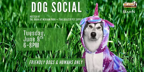 Dog Social