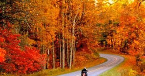 Soldiers & Saddles Ride\/Jerry Ovens Memorial Poker Run Joint Event