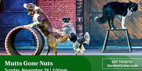 Mutts Gone Nuts