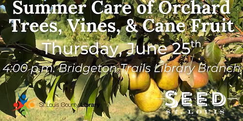 Summer Care of Orchard Trees, Vines, & Cane Fruit
