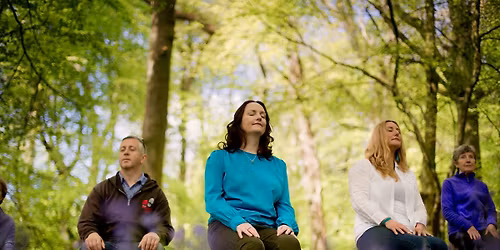 Spring Forest-bathing Immersion
