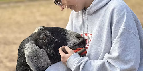 Sanctuary Day at Greener Pastures Farm Sanctuary