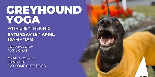 Greyhound Yoga Class