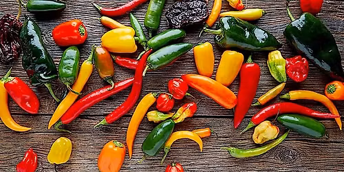 Peppers Medicinal flavor