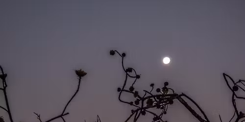 Full Moon Night Walk