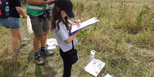 Chapter Meadows Wildlife Count