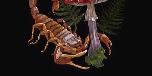 Season Workshop - Autumn, Water and Scorpio