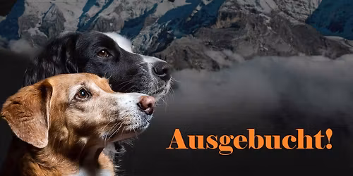 Im Zeichen der Vier - 4 Mittelgebirge \u2013 4 h\u00f6chste Berge = 4 spannende Trailevents auf 4 Pfoten