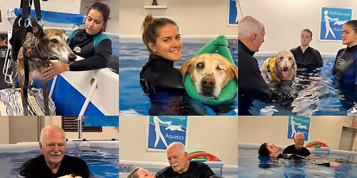 PetMassage Aquatics for Dogs on-site Training Workshop