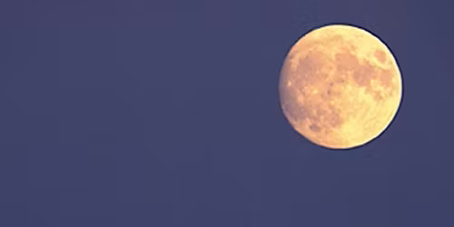  Wild Voice - Healing Voice