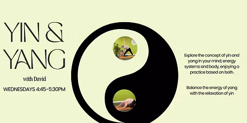 Yin & Yang with David