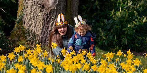 Easter egg hunt at Crook Hall Gardens