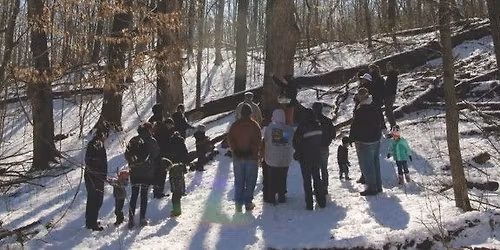 The Greens of Winter Walk
