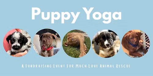 Puppy Yoga Fundraiser for Much Love Animal Rescue