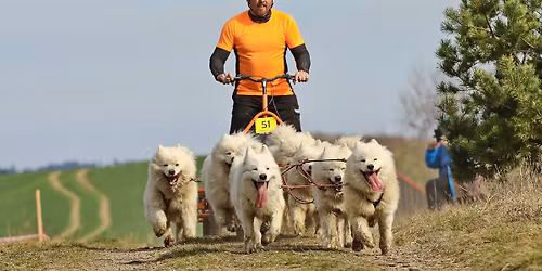 St\u0159\u00edbrsk\u00fd sprint 4.ro\u010dn\u00edk - z\u00e1vody nejen ps\u00edch sp\u0159e\u017een\u00ed