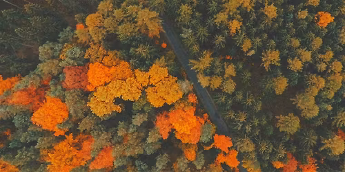Humanize Nature: Evergreen Brick Works