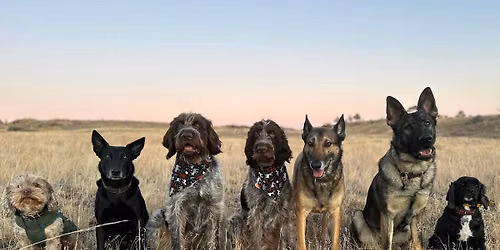 Structured Pack Walk Class