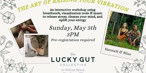 The Art of Raising Your Vibration w\/HannaH\u2019s Field