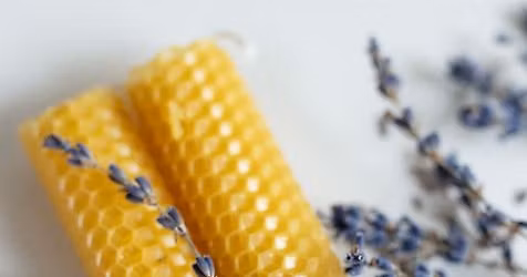 Bees Wax Candle Making Course