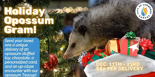 Holiday Opossum Grams