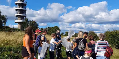 Become a Butterfly Spotter- Butterfly ID Workshop and Walk
