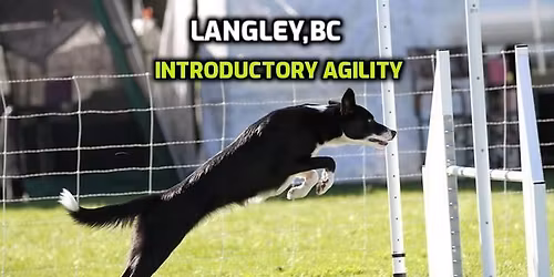 Introductory Dog Agility Langley