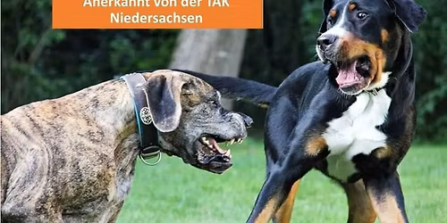 Franzi Ferenz -"Wie is'n der so?"