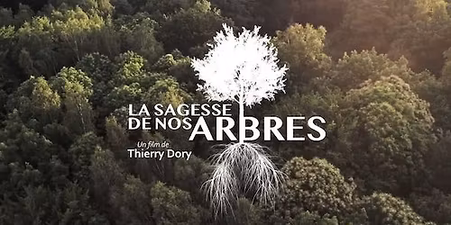 La Sagesse de nos Arbres \u00b7 Projection et Recontre avec le r\u00e9alisateur Thierry Dory