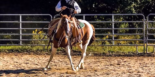 2-day Horsemanship with Jason Drass