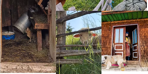 Transylvania Teens & Tweens Worldchoolers