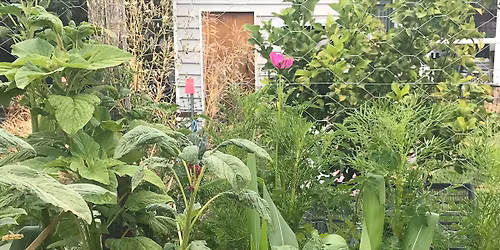 Introduction to Permaculture