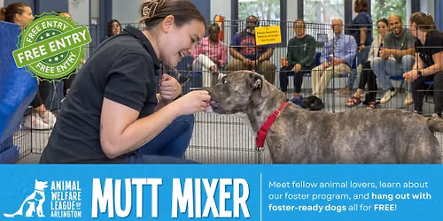 B.Y.O.B Mutt Mixer