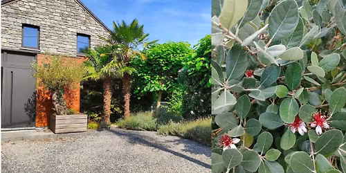 De open exotentuin van Fr\u00e9d\u00e9ric Pignon