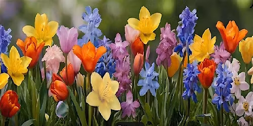 Spring Fling Flower Party