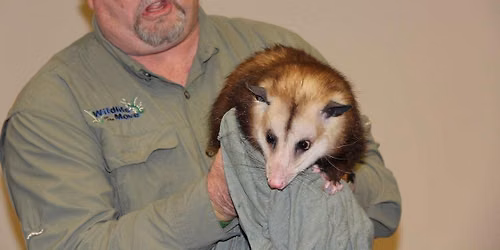 Wildlife On The Move Presents The Unhuggables at Reunion Tower Spring Break Event (Dallas, TX)