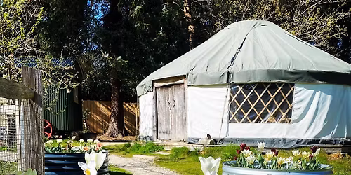 Soulful Vagus Reset Summer Day Retreatt at Happy River