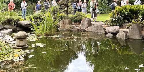 Guided Walk through SE Park Lands off Glen Osmond Road