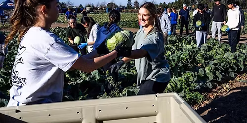 Second Harvest Food Bank Farm x GAPPA Community Service Event