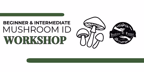 Beginner & Intermediate Mushroom Identification